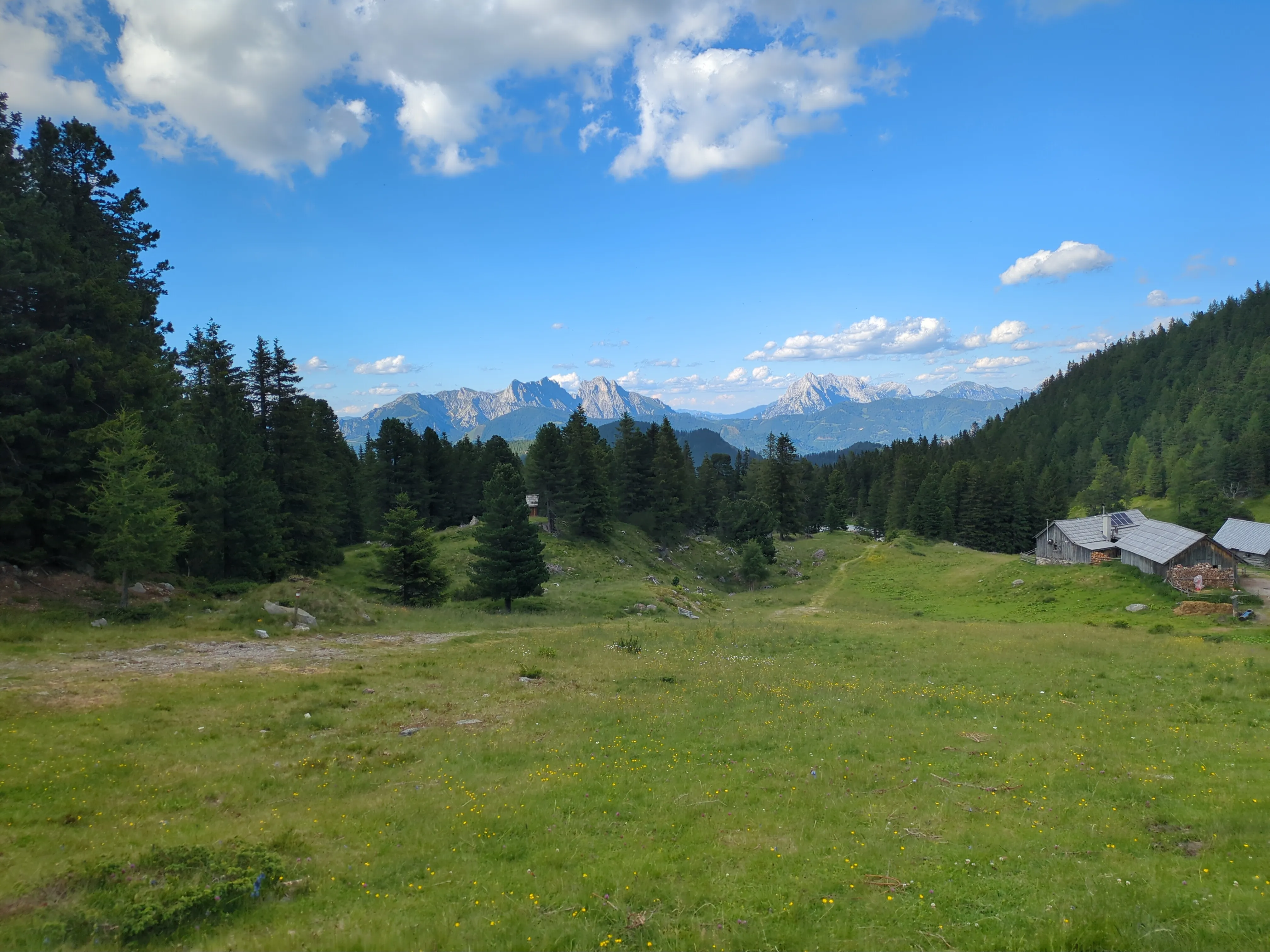 Der Blick über die grüne Almwiese und die Bäume hinweg auf das ferne Gesäuse-Gebirge.